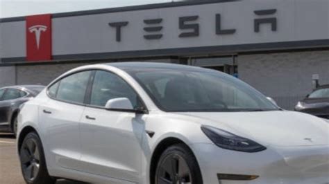 guagua tesla|Alcalde ofrece a Tesla terrenos de refinería fallida.